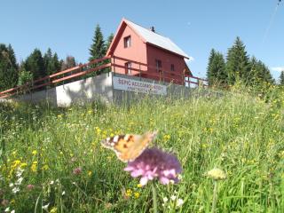 Šepić Accommodation - Žabljak - 0