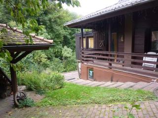 Holiday Home in Eichenborn with Garden - 1