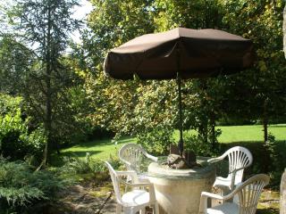 Holiday Home in La Chapelle with Garden - Bains-les-Bains - 6
