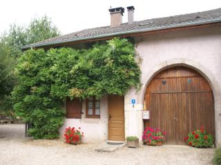 Holiday Home in La Chapelle with Garden - Bains-les-Bains - 5