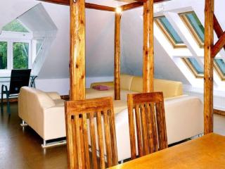 Villa Rotschoenberg im Tal der Freiberger Mulde - 6