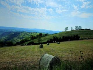 Holiday Home in Muret near Château Colombier - Muret-le-Château - 2