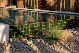 Saguaro Ridge by Fieldtrip Palm Tree Oasis Pool Yoga Deck - Yucca Valley - 1