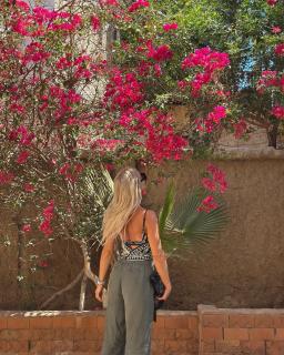New Sphinx Resort - Dahab - 6