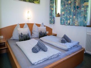 Apartment in Hollersbach near Ski Slopes - 5