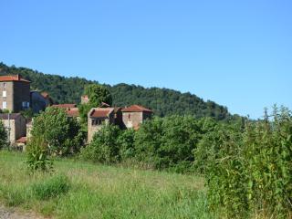 Retreat in Villeneuve-d'Allier - Auzat - 4