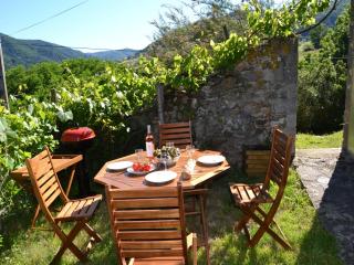 Retreat in Villeneuve-d'Allier - Auzat - 6
