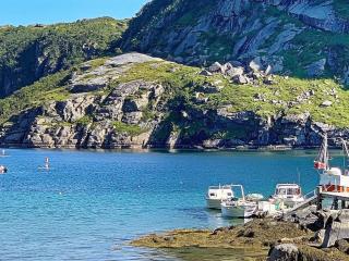 4 star holiday home in Bøstad - 2