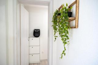 Apartments Lian - 1