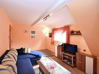 Wald-Ferienwohnung in Wildemann - Wildemann - 7