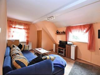Wald-Ferienwohnung in Wildemann - 9