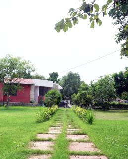 Cheers and Company Farms - Dhauj - 0