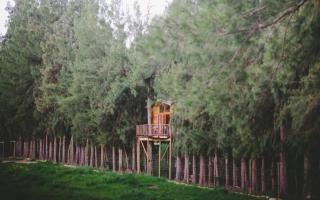 Vindoux Tree House Guest Farm & Spa - 0
