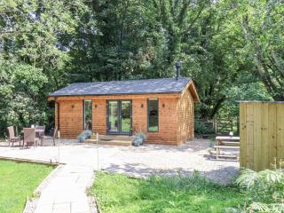 Roe Deer Lodge - Whitby - 9