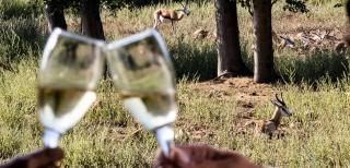 Vindoux Tree House Guest Farm & Spa - 1