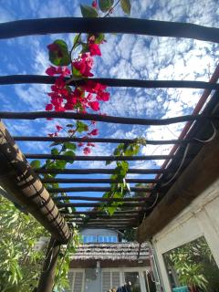VIC Residence - Pemba - 8