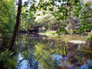 Fishing Chalet, Opglabbeek - Oudsbergen - 7