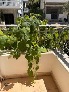 Travellers Room - Saranda - 7