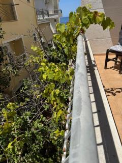 Travellers Room - Saranda - 3