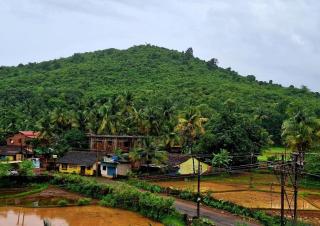 Mangrove Ecostay - Gokarna - 7