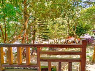 Batu Katak - Gibbon Guesthouse - 8