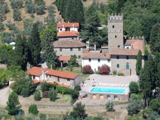 Lovely estate not far from Florence with olives trees - 3