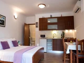 Villa with with 5 apartments in Peracko Blato - 1