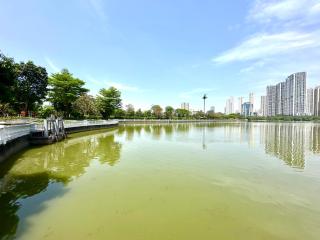 Delux Studio Near Grand Plaza And Vincom Mall In City Centre - 1