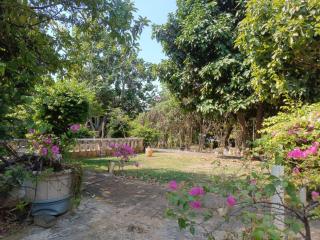 Chandrady Guesthouse - Jakarta - 6