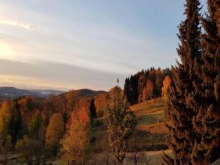 Comfortable apartment in Zenting in Lower Bavaria - Zenting - 7