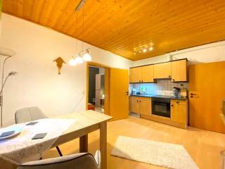 Comfortable apartment in Zenting in Lower Bavaria - Zenting - 1
