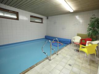 Cozy Apartment in Ruhmannsfelden with Swimming pool - 4