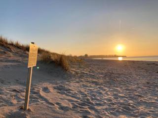 Fairy tale holiday home in Rerik near the centre - 9