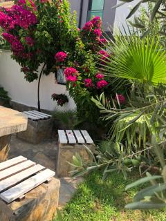 Ayshira Aparts - Kemer - 4