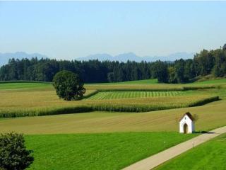 Eco-friendly chalet near the lake in Asten - 4