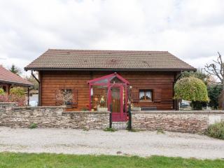 Nature Chalet in Abbévillers - 3