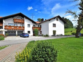 Cozy Apartment in Sonnen Bavaria near Forest - Sonnen - 9