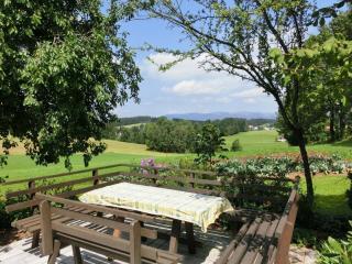 Cozy Apartment in Sonnen Bavaria near Forest - Sonnen - 7