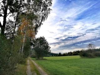 Cozy Apartment in Sonnen Bavaria near Forest - Sonnen - 4