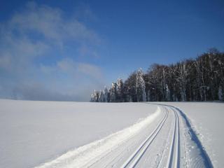 Cozy Apartment in Sonnen Bavaria near Forest - Sonnen - 1