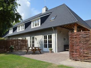 Pleasant Holiday Home near the centre of Haaren - Haaren - 5