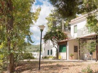 Apartment in Vieste, a drive away from the sea - 0