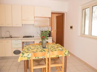 Apartment in Vieste, a drive away from the sea - 1