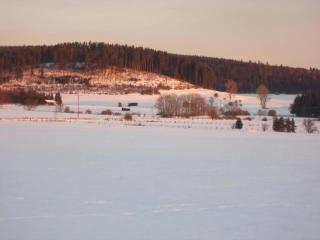 Pretty apartment in Medebach with adjacent forest - 1