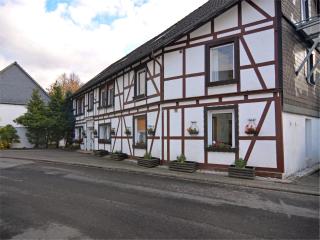 Modern group of homes close to Willingen and Winterberg with large garden - Medebach - 0