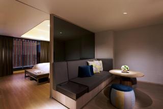礁溪晶泉丰旅 Wellspring by Silks Jiaoxi - Jiaoxi - 9