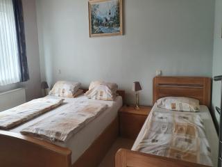 Large detached holiday home in Hesse with private garden and terrace - Homberg - 2