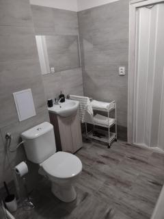 Podkrovní byt Kroměříž - Kroměříž - 4