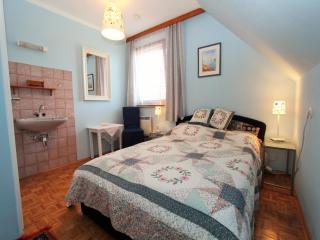 Modern apartment with garden near the Petzen ski area in Eberndorf Carinthia - 1