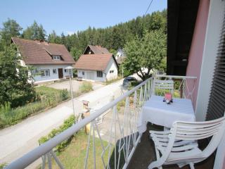 Modern apartment with garden near the Petzen ski area in Eberndorf Carinthia - 4